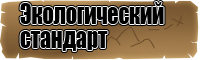 Толстовка для девочки с надписью